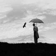 FEDwxp的个人资料头像