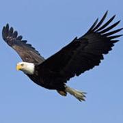 weiwenwang的个人资料头像