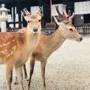 timmy酱的个人资料头像