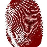 DevineLiu的个人资料头像