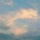 飘零同学的个人资料头像