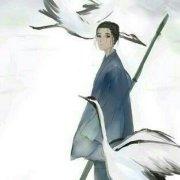 倾颜1016的个人资料头像