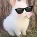 Xu_的个人资料头像