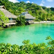 SuperTaric的个人资料头像