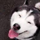 陈茂棠的个人资料头像