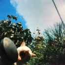 郭江的个人资料头像