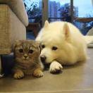 天才式笨蛋的个人资料头像