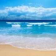 yf39的个人资料头像