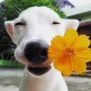 风逝同志62058的个人资料头像