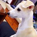 恩嗯的个人资料头像