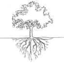 陈不二的个人资料头像