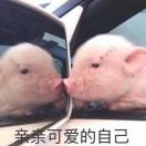 暮霭天涯的个人资料头像