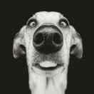 tptp的个人资料头像