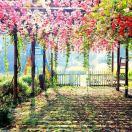 sherry君62189的个人资料头像