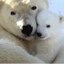 小白雄的个人资料头像