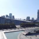 strokedash的个人资料头像