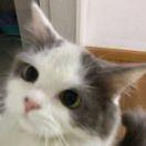 辉不想说话62259的个人资料头像