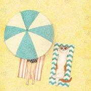 XiaoC的个人资料头像