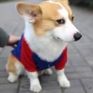 Orange同学62325的个人资料头像