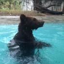 Grace本尊62356的个人资料头像