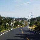 安想的个人资料头像