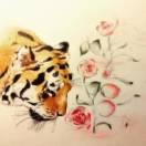 心之所向_一苇以航的个人资料头像