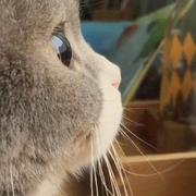 skonline的个人资料头像