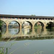 cycle263的个人资料头像