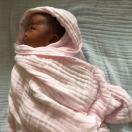 大象不想说话的个人资料头像