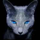 e4rty的个人资料头像