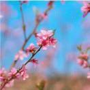 璀不想说话的个人资料头像