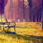 beijixueyu的个人资料头像