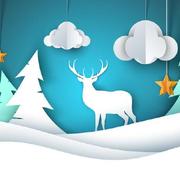 18650675582的个人资料头像