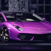 duanwenjie的个人资料头像