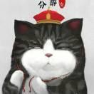 kaka本尊62794的个人资料头像