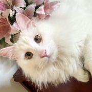 荒腔走板假正经的个人资料头像