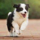 奔波儿灞不想说话的个人资料头像