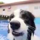 Oscar的个人资料头像