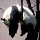 姚烦了的个人资料头像