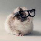 夜酱62944的个人资料头像