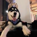 Man在掘金的个人资料头像