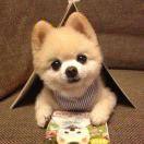 易明的个人资料头像