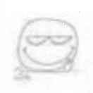 一直都在流浪浪浪浪的个人资料头像