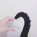 星角先生酱的个人资料头像