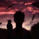 旧时光的个人资料头像