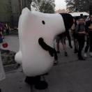 大笑江湖涂阳光的个人资料头像