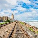 whitepine的个人资料头像