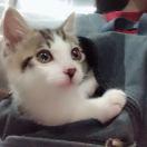 biu的个人资料头像