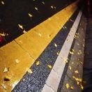 Derek人城的个人资料头像