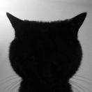 路人甲君63231的个人资料头像